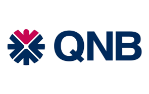 صورة توضيحية